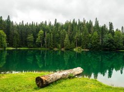Prirodni potencijali Durmitorskog kraja