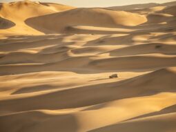 namibia-desert
